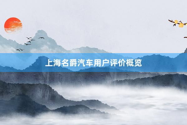 上海名爵汽车用户评价概览